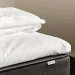 Sportium Sportel Hotel Varde